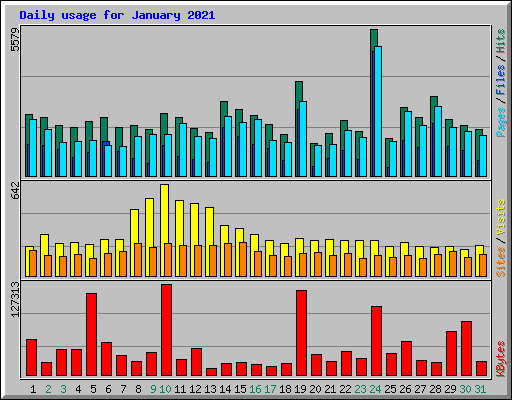 Daily usage for January 2021