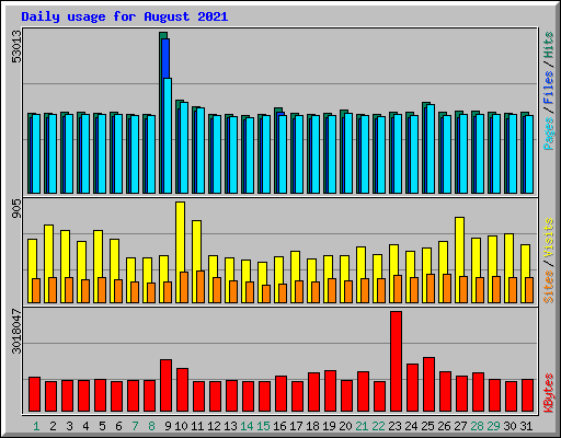 Daily usage for August 2021
