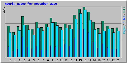 Hourly usage for November 2020