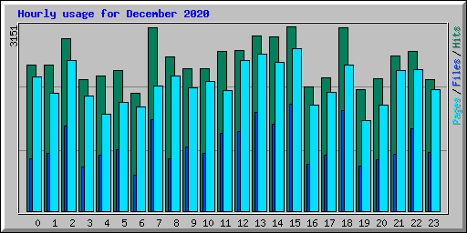 Hourly usage for December 2020