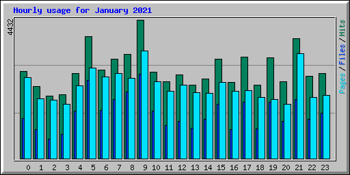 Hourly usage for January 2021