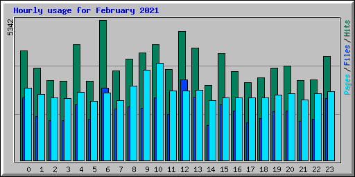 Hourly usage for February 2021