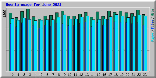 Hourly usage for June 2021