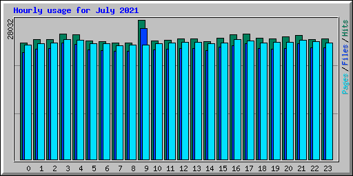 Hourly usage for July 2021