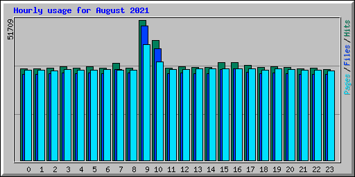 Hourly usage for August 2021
