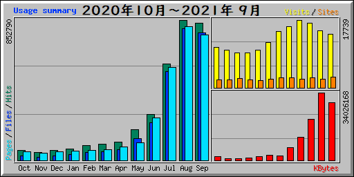 Usage summary 1