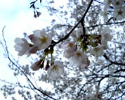 1999.04.07