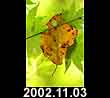 2002.11.03