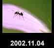 2002.11.04