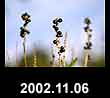 2002.11.06