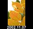 2002.11.07