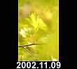 2002.11.09