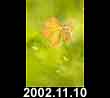 2002.11.10
