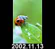 2002.11.13