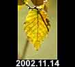 2002.11.14