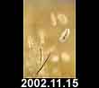 2002.11.15