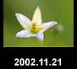 2002.11.21