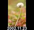 2002.11.23