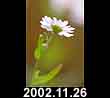 2002.11.26