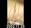2002.11.29