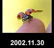2002.11.30