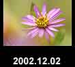 2002.12.02