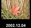 2002.12.04