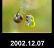 2002.12.07