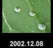2002.12.08