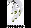 2002.12.12