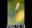 2002.12.15