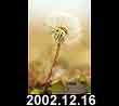 2002.12.16