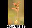 2002.12.19