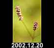 2002.12.20