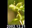 2002.12.21