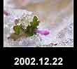 2002.12.22