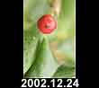 2002.12.24