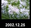 2002.12.25