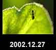 2002.12.27