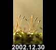 2002.12.30