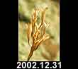 2002.12.31