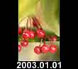 2003.01.01