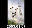 2003.01.07