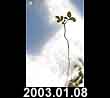 2003.01.08