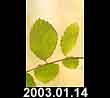 2003.01.14