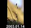 2003.01.15