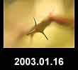 2003.01.16