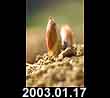 2003.01.17