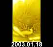 2003.01.18