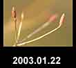 2003.01.22